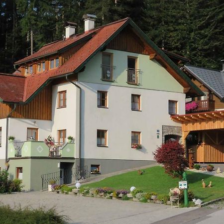 Apartments Egger Barbara Гозау Экстерьер фото